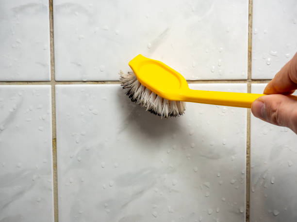 Best Mold Remediation for Schools in Bayview, CA