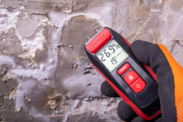 Best Industrial Mold Remediation in Bayview, CA